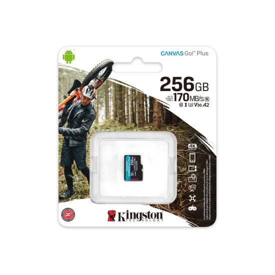 Карта памяти Kingston 256GB microSDXC class 10 A2 U3 V30 Canvas Go Plus (SDCG3/256GBSP) Карта памяти Kingston 256GB microSDXC class 10 A2 U3 V30 Canvas Go Plus (SDCG3/256GBSP)