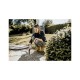 Пилосос Karcher WD 3 P V-17/4/20 (1.628-170.0) Пилосос Karcher WD 3 P V-17/4/20 (1.628-170.0)