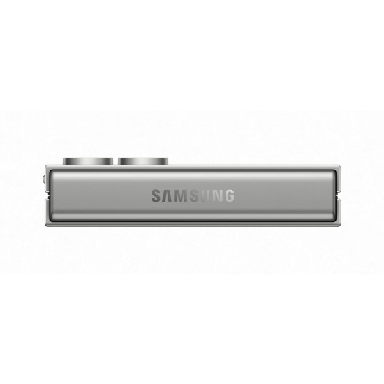 Мобильный телефон Samsung Galaxy Flip6 12/512Gb Silver Shadow (SM-F741BZSHSEK) Мобильный телефон Samsung Galaxy Flip6 12/512Gb Silver Shadow (SM-F741BZSHSEK)