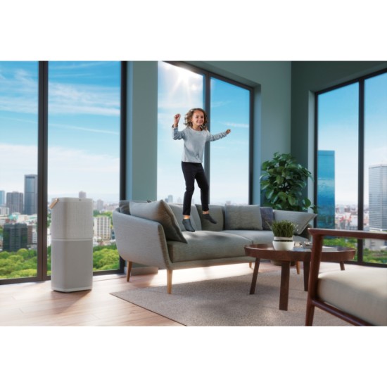 Очисник повітря Electrolux PA91-404GY Очисник повітря Electrolux PA91-404GY