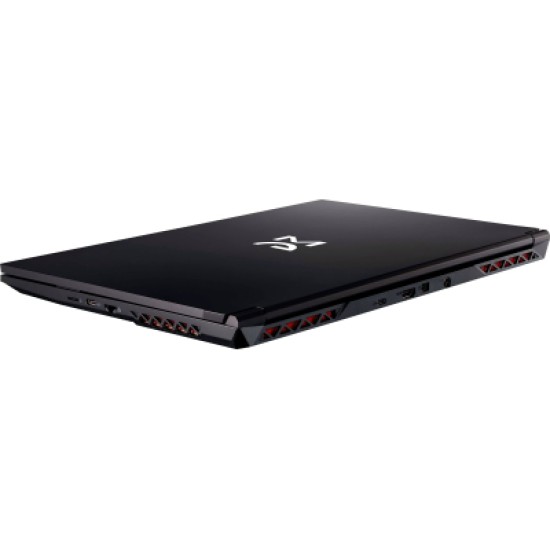 Ноутбук Dream Machines RG2050-15 (RG2050-15UA27) Ноутбук Dream Machines RG2050-15 (RG2050-15UA27)