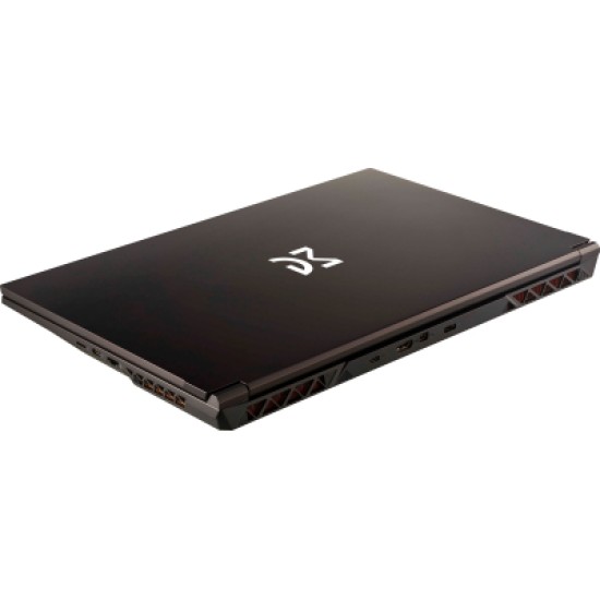 Ноутбук Dream Machines RG4050-17 (RG4050-17UA36) Ноутбук Dream Machines RG4050-17 (RG4050-17UA36)