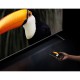 Телевізор Xiaomi TV S Mini LED 75 2025 Телевізор Xiaomi TV S Mini LED 75 2025