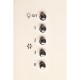 Витяжка кухонна Eleyus Viola 750 50 BG Витяжка кухонна Eleyus Viola 750 50 BG